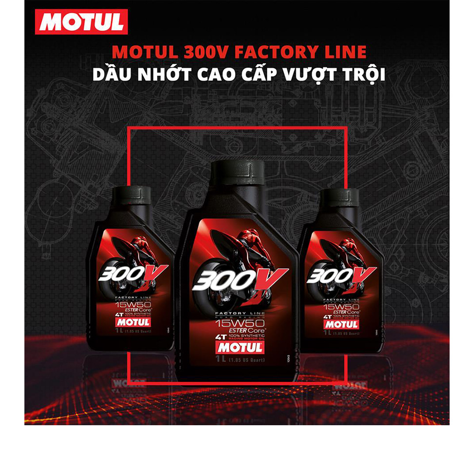 z-300V-FACTORY-LINE-ROAD-RACING-2